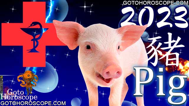 Pig Horoscope 2023 for Health Sphere