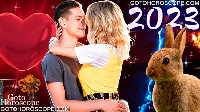 Chinese Horoscope 2023 for Love Sphere