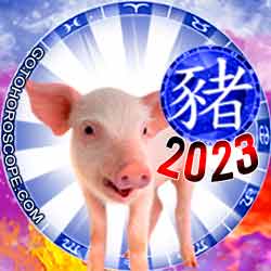 Pig Chinese New Year Horoscope 2023