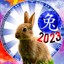 Rabbit Chinese New Year Horoscope 2023
