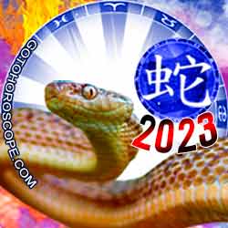 Snake Chinese New Year Horoscope 2023