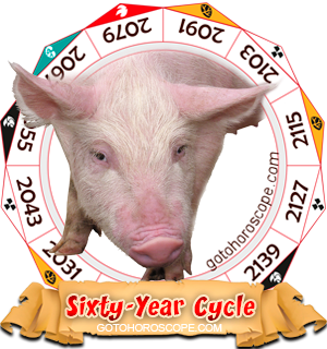 Pig Year, Chinese Astrology