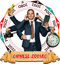 Ideal profession for the Pig Zodiac sign