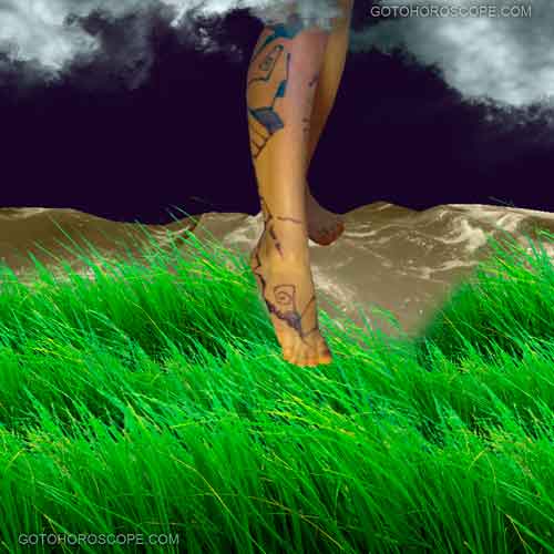 Bi Bottom Line Illustration