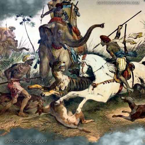 Bi Line Five Illustration