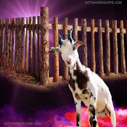 Da Zhuang Top Line Illustration