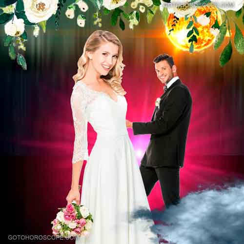 Gui Mei Line Three Illustration