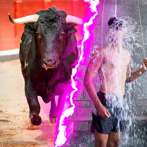 Ji Ji Line Five Illustration