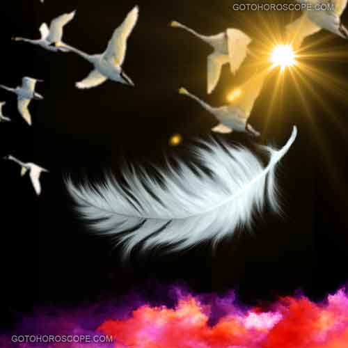 Jian Top Line Illustration