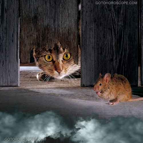 Jin Line Four Illustration