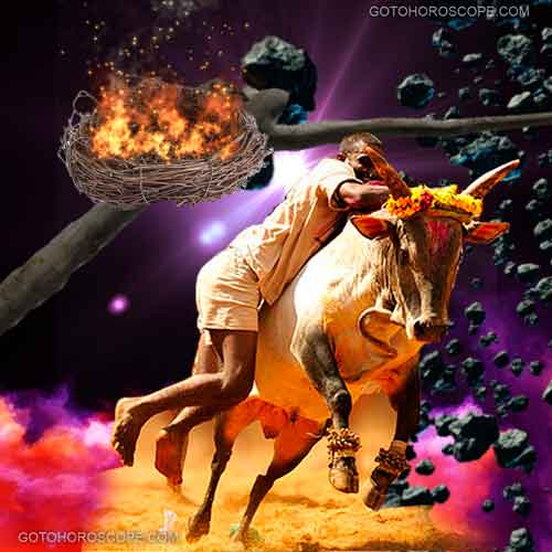 Lu Top Line Illustration