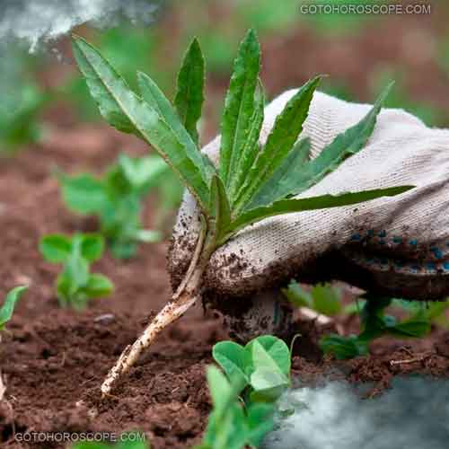 Pi Bottom Line Illustration