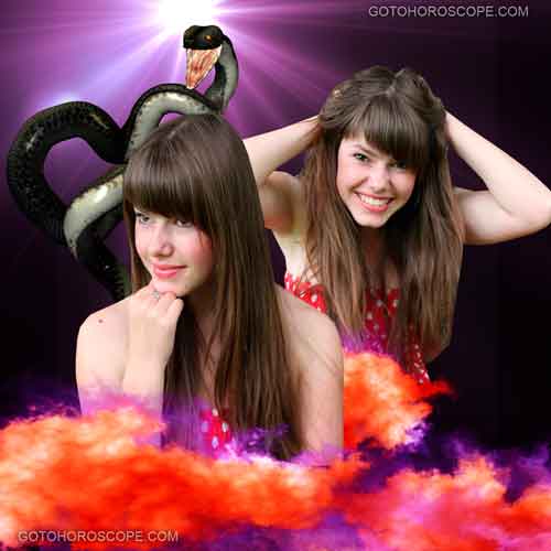 Wu Wang Top Line Illustration