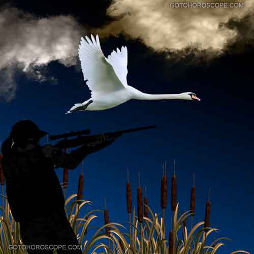 Xiao Guo Bottom Line Illustration