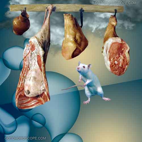 Zhun Line Five Illustration