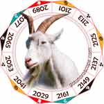 2010 Horoscope for Sheep Zodiac Sign