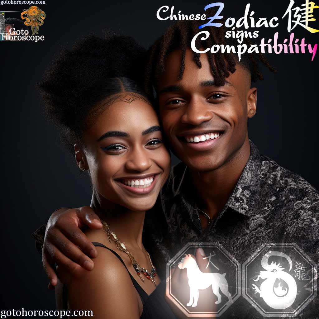 Dog Dragon Compatibility Horoscope