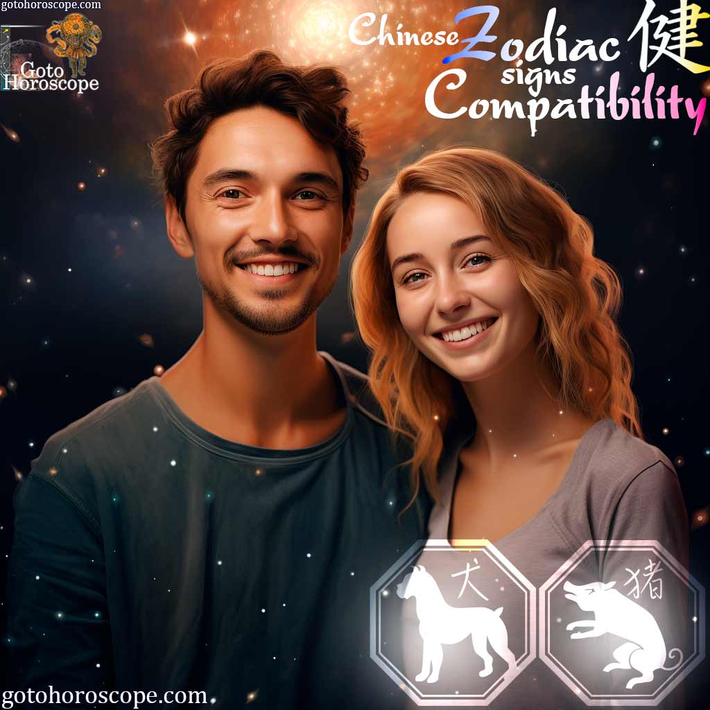 Dog Pig Compatibility Horoscope