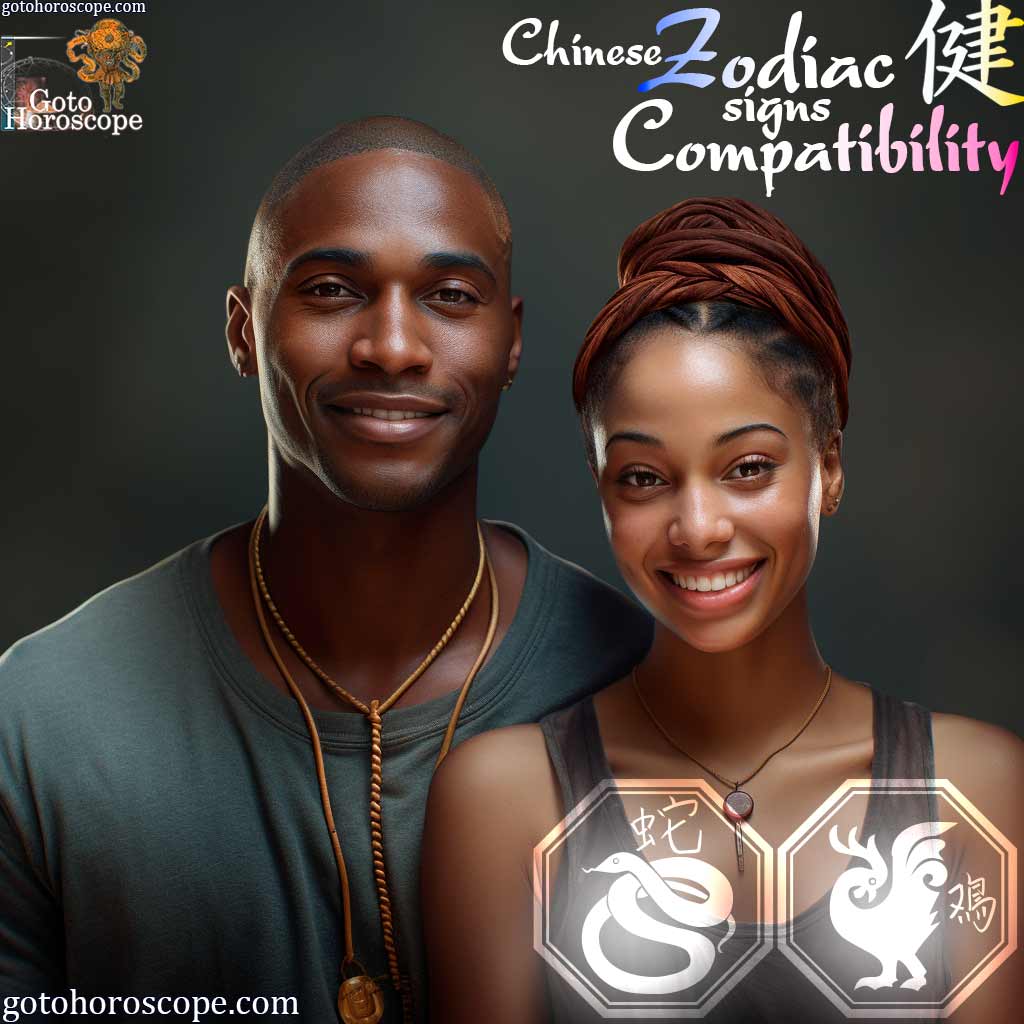 Snake and Rooster Chinese Zodiac Compatibility Horoscope, Year of Snake
